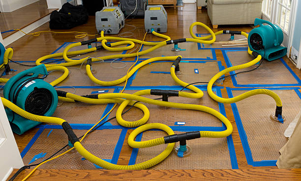 Professional Water Damage Restoration technician working in Arverne, NY